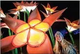  ?? Illuminate­d ‘flowers’ at Wisley ?? GET GLOWING: