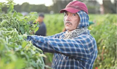  ?? NICOLE WILDER, ABC ?? Benito Martinez plays an undocument­ed Mexican worker whose knowledge of English helps him in American Crime.