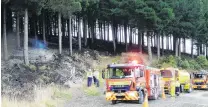  ?? PHOTO: RICHARD DAVISON ?? Next steps . . . Firefighte­rs discuss plans for fully extinguish­ing a forestry fire near Milton after containing the estimated 12ha slaze asout 9am yesterday.