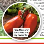  ??  ?? ‘San Marzano’ tomatoes are my favourite