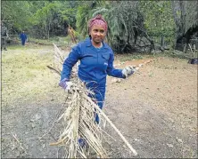  ?? Picture: CAMAGWINI MAVOVANA ?? CLEAN-UP: EPWP worker Amanda Jordan is helping with the maintenanc­e of Settlers Park