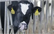  ?? MICHAEL CONROY/AP ?? Butter imports from the U.S. nearly quadrupled between 2015 and 2016 to help satisfy Canadian demand.