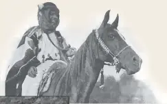  ??  ?? The Sheikh aboard *Wadduda, the warmare he presented to Davenport in 1906. Note the horse’s relatively long ears, flat body and thin skin, features typical of dry-climate mammals of many species. Note also
her flat forehead and the complete absence of...