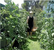  ?? ?? George Lusty at his Silverdale home with his tomato plants.