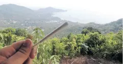  ?? FACEBOOK ?? A marijuana joint is held with a view of a Thai beach. Thailand is looking into medical pot production.