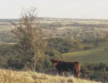  ??  ?? 0 The net-zero greenhouse gas emissions target could present a challenge for the farming industry