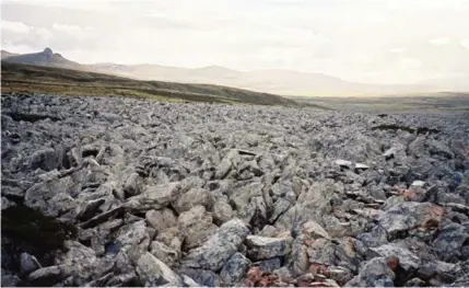  ?? LYUBOMIR IVANOV ?? Stone run at Mount Kent, East Falkland. / “Rio de piedra” en Monte Kent.