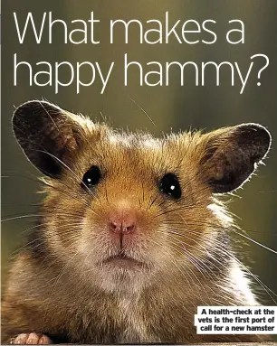  ?? ?? A health-check at the vets is the first port of call for a new hamster