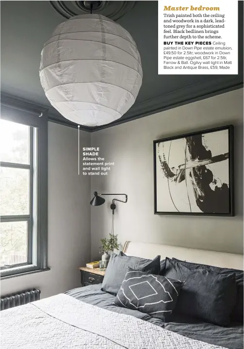  ??  ?? SIMPLE SHADE
ALLOWS THE STATEMENT PRINT AND WALL LIGHT TO STAND OUT