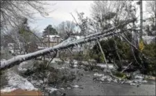  ?? PETE BANNAN – DIGITAL FIRST MEDIA ?? A tree blocks the 300 block of Lenox Road in Havertown Saturday morning in the wake of Friday’s ferocious Nor’easter.