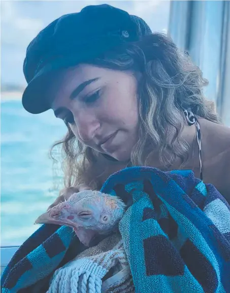  ?? Picture: GOLD COAST VET SURGERY ?? Lily Papas comforts the turkey after it was saved from drowning in the Broadwater.