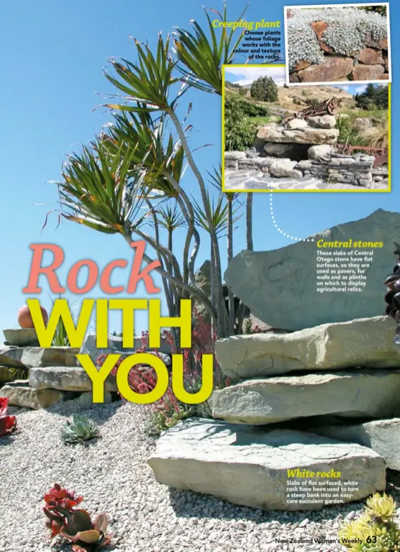  ??  ?? Choose plants whose foliage works with the colour and texture
of the rocks. These slabs of Central Otago stone have flat surfaces, so they are used as pavers, for walls and as plinths on which to display agricultur­al relics. Slabs of flat surfaced,...