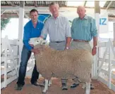  ?? Photo: FAIRFAX NZ ?? $10,000 ram: Oamaru farmer David Ruddenklau, centre, and Blair Smith sold this perendale ram to John Henricksen, of Dannevirke.