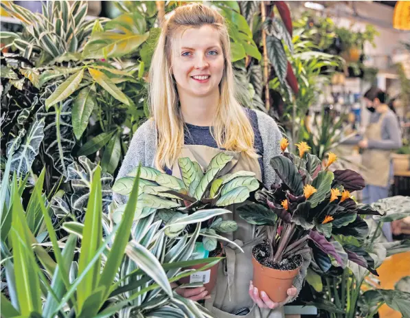  ??  ?? Hope Dean runs a plant and home interiors design shop called Wild Roots in Poole. Independen­t shops in the Dorset town are to be spared rent and business rates for two years under a new rejuvenati­on scheme