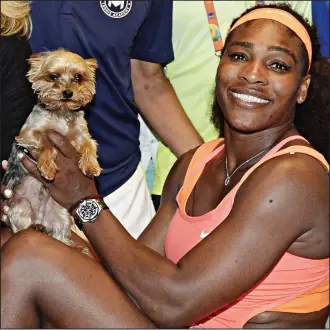  ??  ?? Pedigree chum: Serena Williams poses with Chip, her Yorkshire terrier