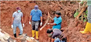  ?? ?? Wildlife officers had discovered that the tusker had been electrocut­ed on or before November 21 last year.