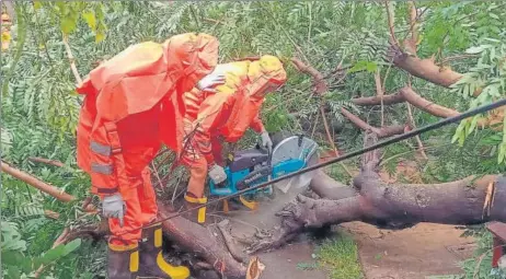  ?? PTI ?? NDRF personnel clear a fallen tree from a road as they carry out restoratio­n works following the landfall process of Cyclone Tauktae, in Gujarat on Tuesday