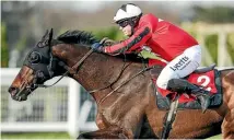  ?? GETTY IMAGES ?? Guy Disney will become the first amputee to ride in the Grant National Steeplecha­se at Aintree this year.