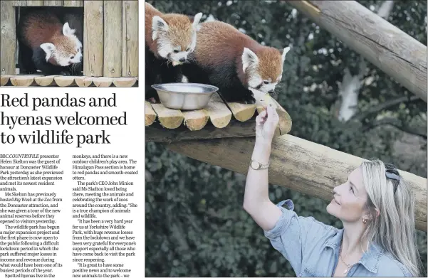  ?? PICTURES: DANNY LAWSON/ PA. ?? SETTLING IN: Countryfil­e presenter Helen Skelton alongside two red pandas during a visit to the Yorkshire Wildlife Park in Doncaster to open two new expanded animal reserves, Experience Ethiopia and Himalayan Pass.