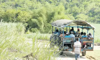  ?? FILE ?? Sugar estate workers being taken home from Hyde Hall, part of the Long Pond Sugar Estate in Trelawny, in an April 21, 2008, file photo. Farmers will, by month end, take control of 3,600 acres of farmlands leased from the Government.