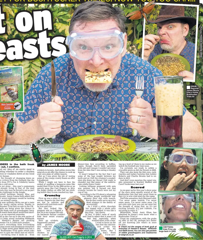  ??  ?? CRITTERS: Kate Price ate bugs back in 2009 GRUB: Reporter James Moore tries a home Bushtucker Trials kit