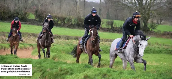  ?? Athwenna Irons ?? > Some of trainer David Pipe’s string on the circular sand gallop at Pond House