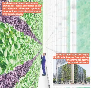  ??  ?? Les fermes urbaines intérieure­s créées par Plenty, entreprise basée en Californie, utilisent un système aéroponiqu­e vertical qui nécessite très peu d’espace.
Situé en plein coeur de Tokyo, l’édifice de Pasona Group abrite une immense ferme urbaine intérieure.