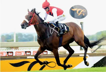  ?? Photograph­ics Picture: JC ?? USEFUL. Ghost Town may not be the best handicappe­d runner in Race 6 at Turffontei­n tomorrow but he looks to have loads of room for further improvemen­t and should provide punters with some decent value.