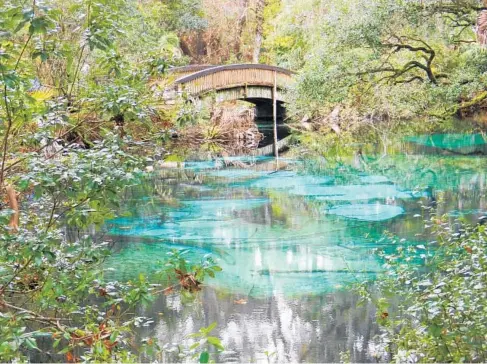  ?? FLORIDARAM­BLER.COM ?? Juniper Springs near Ocala is the healthiest, most natural spring in Florida.