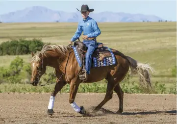  ??  ?? Don’t look down at your horse to find your balance. Instead, sit in the center of your saddle and learn to feel for your balance point with each stride—becoming in the process a more confident, effective rider.