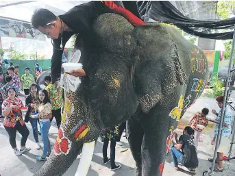  ??  ?? Un mahout (arriba) pinta a otro de elefante.