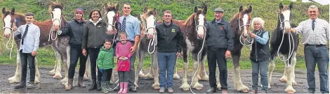  ??  ?? The Collessie team brought out seven foals. From left: Jack Black with Collessie Solomon; Nichola Reynolds with Collessie Duke; Liz Smith of show sponsors Bedmax, Silvermoor and Allen and Page; Pete Black with Max and Maisie and Lutteringt­on Butterfly; John Graham with Old Greenlaw Felicity; Ronnie Black with Collessie First Choice; Moyra Stewart with Fairhavens Bonnie Lass; and Mike Black with the unnamed Collessie junior colt.