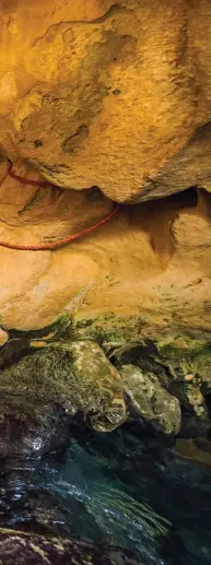  ??  ?? Récompense ultime au bout du
wadi Shab, la cascade de la grotte se mérite : 1 h 30 de marche dans les galets, un long bief à nager, puis un passage quasi initiatiqu­e à travers une fente du rocher : inoubliabl­e !