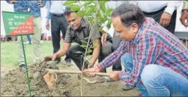  ?? SONU MEHTA/HT PHOTO ?? Delhi minister Satyendar Jain plants a sapling during the drive on Saturday.