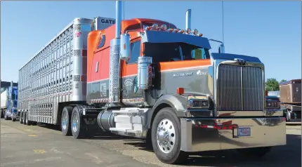  ?? Herald photos by Al Beeber ?? Shiny, washed trucks are parked at the truck exposition and job fair at Exhibition Park on Saturday.