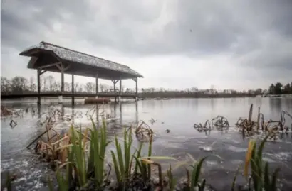  ?? FOTO KAREL HEMERIJCKX ?? Volgens de nieuwe vergunning moet deze steiger – het botenhuis – afgebroken worden omdat hij voor een stuk in natuurgebi­ed ligt.