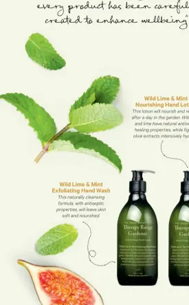  ??  ?? Wild Lime & Mint Nourishing Hand Lotion This lotion will nourish and restore after a day in the garden. Wild mint and lime have natural antiseptic healing properties, while fig and olive extracts intensivel­y hydrate.