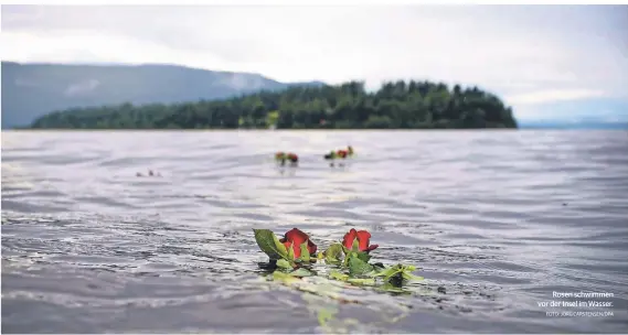  ?? FOTO: JÖRG CARSTENSEN/DPA ?? Rosen schwimmen vor der Insel im Wasser.