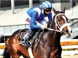  ?? Picture: JC Photograph­ics ?? TALENTED: Al Muthana has been gelded and that could see him back at his best when he lines up in the Grade 3 Sea Cottage Stakes tomorrow on the Turffontei­n Inside track.