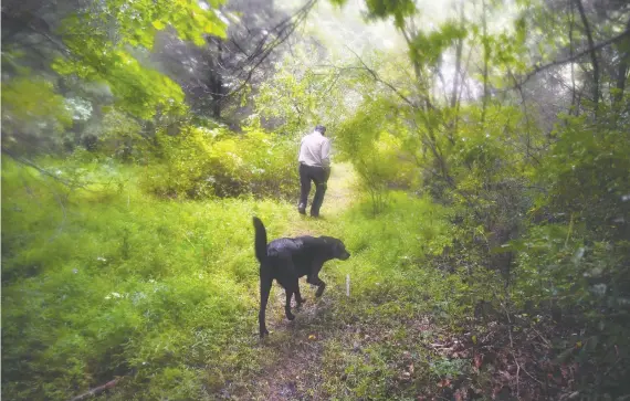  ?? PHOTOS: MICHAEL S. WILLIAMSON/FOR THE WASHINGTON POST ?? Drew Miller walks the grounds of Fortitude Ranch, within the George Washington National Forest, with a guard dog.