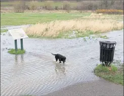  ?? Picture: Martin Mayer ?? Flooding at Hambrook Marshes on Monday