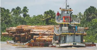  ?? TARSO SARRAF/AFP VIA GETTY IMAGES ?? As the Amazon rainforest is destroyed by fires, deforestat­ion and developmen­t, the changing landscape creates the opportunit­y for both new and existing diseases to spread.