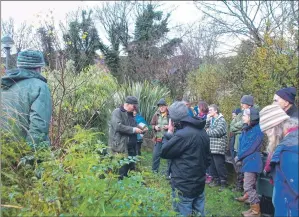  ??  ?? John Hancox offers pruning tips at Tarbert Healing Garden.