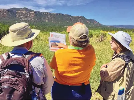  ?? COURTESY OF PECOS NATIONAL HISTORICAL PARK ?? Retired geologist Laura Reich, center, who is a volunteer at Pecos National Historical Park, explains the geology of the area to a couple of visitors.