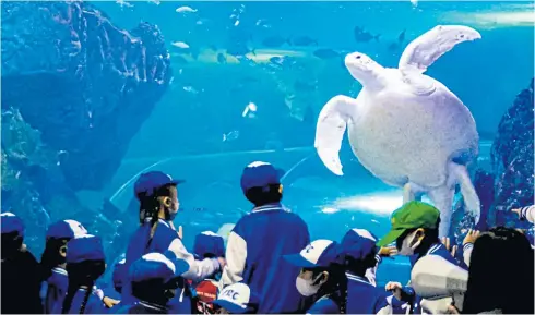  ?? CHIANG MAI ZOO ?? Children enjoy watching a giant sea turtle at Chiang Mai Zoo’s aquarium that has reopened after a 29-million-baht renovation.
