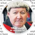  ??  ?? TRIAL Judge Mr Williams QC