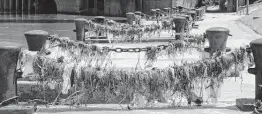  ?? Steve Gonzales / Staff file photo ?? Plastic and other waste is visible along Buffalo Bayou in downtown Houston.