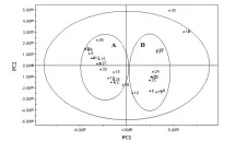  ??  ?? 2.5主成分分析
采用 PCA 对 31 批甘肃不同产地当归样­品的GC-MS 数据进行分析，得到 PCA 得分图（见图 2）和载荷图（见图3）。 图 2 31批当归样品PCA­得分图