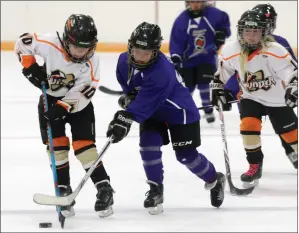  ?? NEWS PHOTO RYAN MCCRACKEN ?? Kapri Coston (purple), of the Medicine Hat Wildcats, battles for the puck with Kinsley Watson, of the Brooks Prairie Thunder, during Saturday’s exhibition girls’ novice hockey game at the Kinplex.