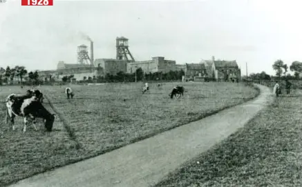  ?? FOTO COLLECTIE PROVINCIE LIMBURG ?? Zo zag C-mine eruit eind jaren 20. De eerste klomp van het ‘zwarte goud’ werd in 1914 naar boven gehaald in Genk, de eigenlijke ontginning begon in 1917.